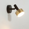 STAMP black-gold