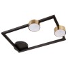 FRAME black-gold II