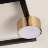 FRAME black-gold II